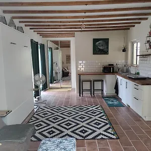 Chez Chapelle In The Heart Of The Gascony With Pool, Pets Welcome! , Auch France